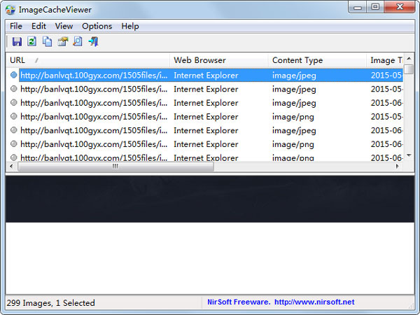 ImageCacheViewer(鿴web) V1.10 Ӣɫ